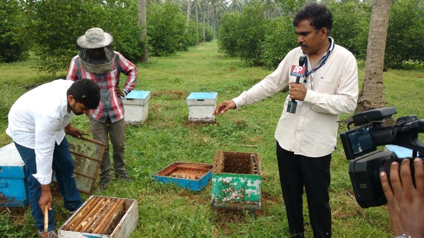 Field-level inspection and documentation of hive management practices.