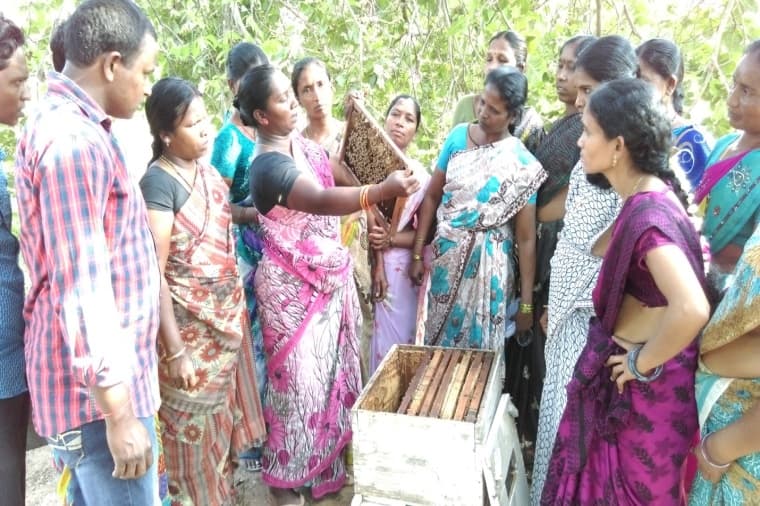 Women trainees practicing hive-frame inspection during field training.