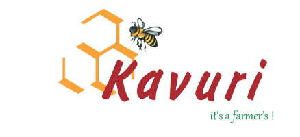 Kavuri logo