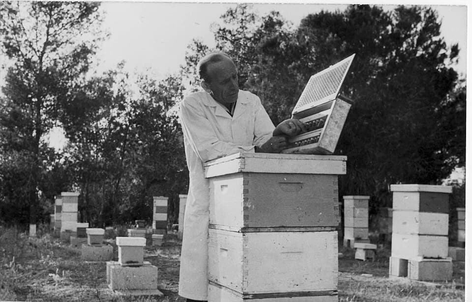 Queen rearing setup used in bee culture