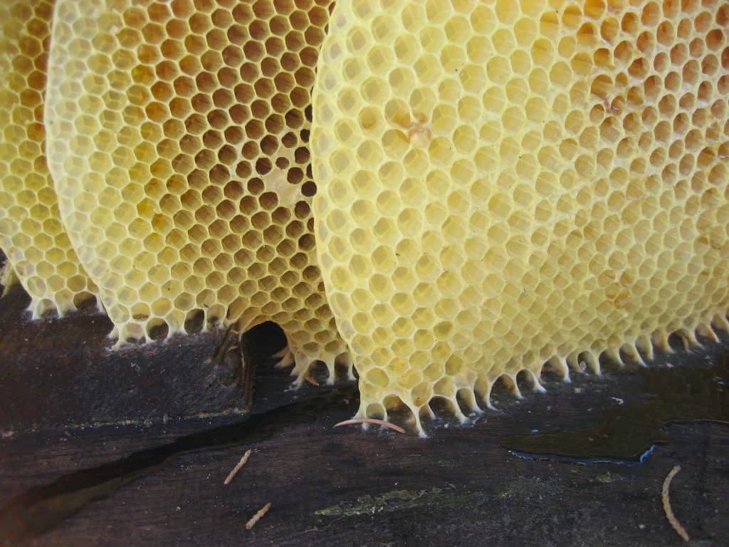 Beeswax product preparation and handling